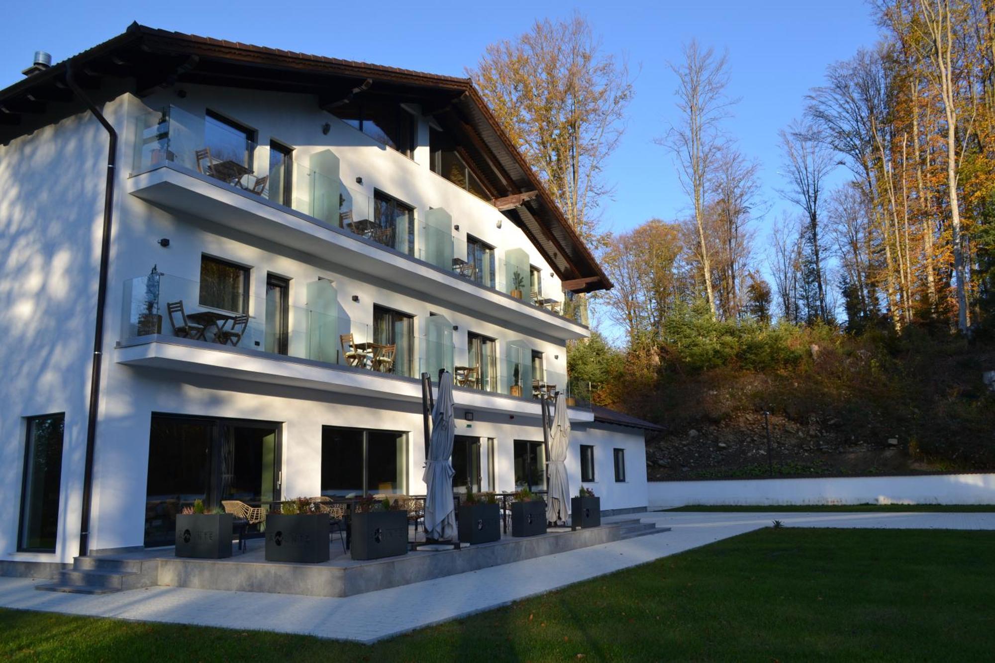 Pensiunea Amonte Avrig Exteriér fotografie